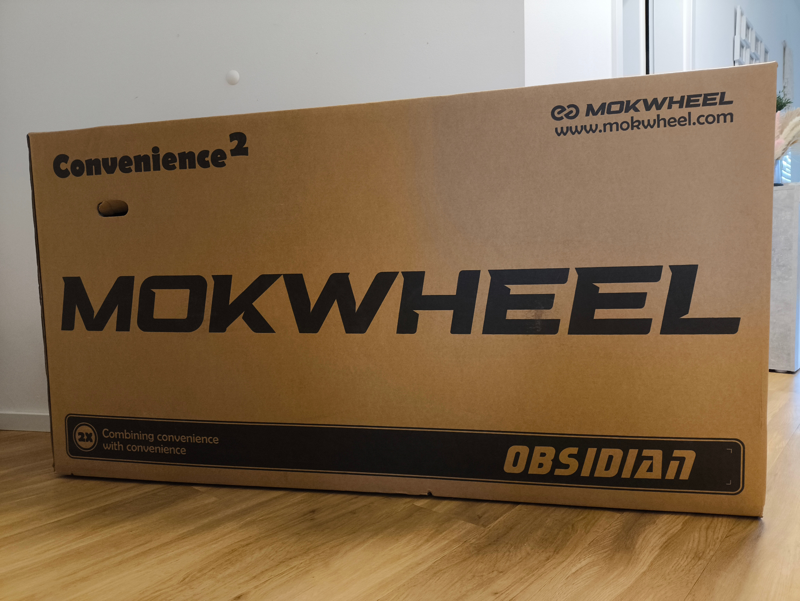 Geliefert wird das Mokwheel Obsidian in einem sehr stabilen Karton | Quelle: ebiketester24.de