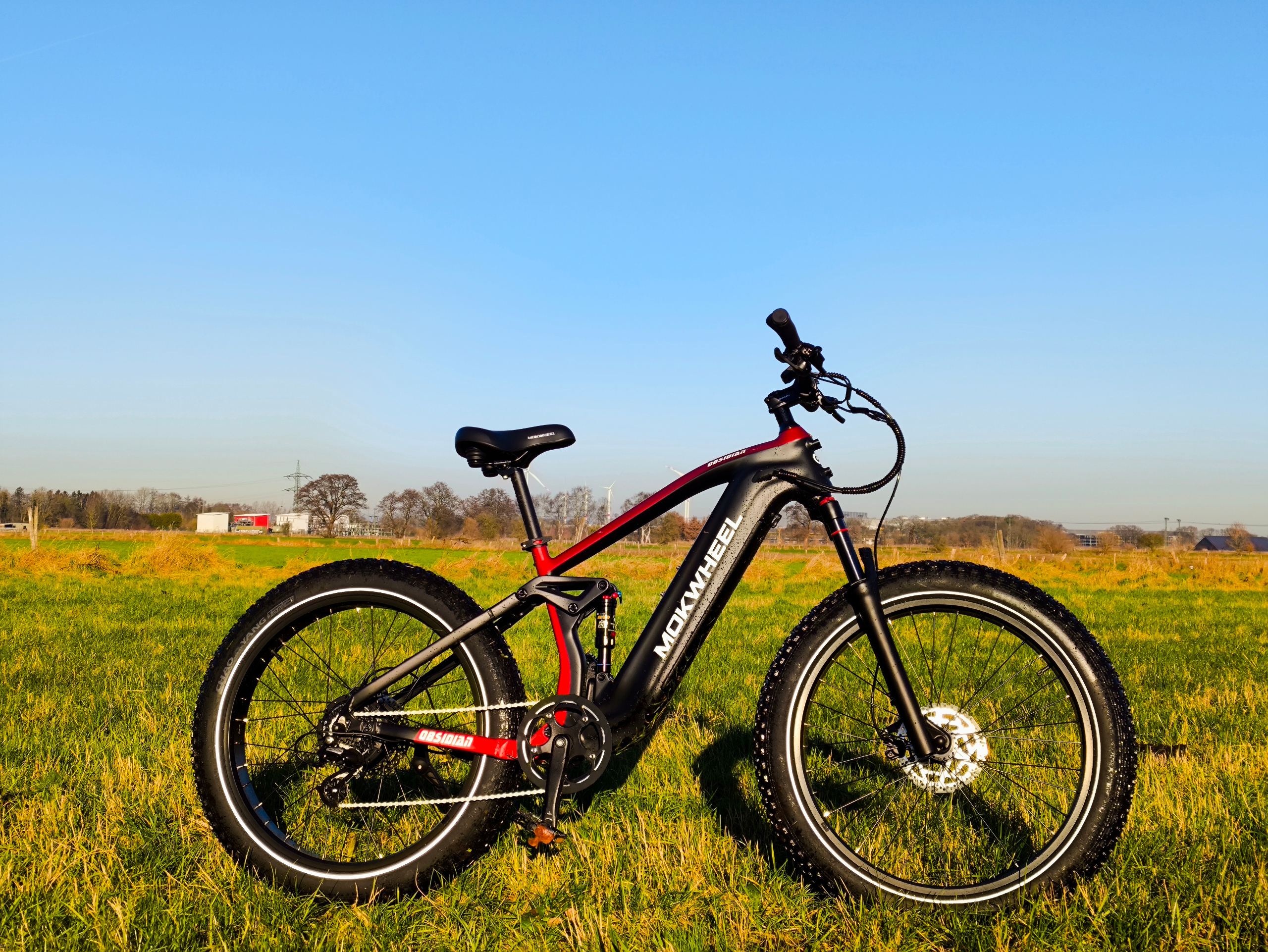 So sieht das E-Fatbike von Mokwheel nach dem Aufbau aus | Quelle: ebiketester24.de