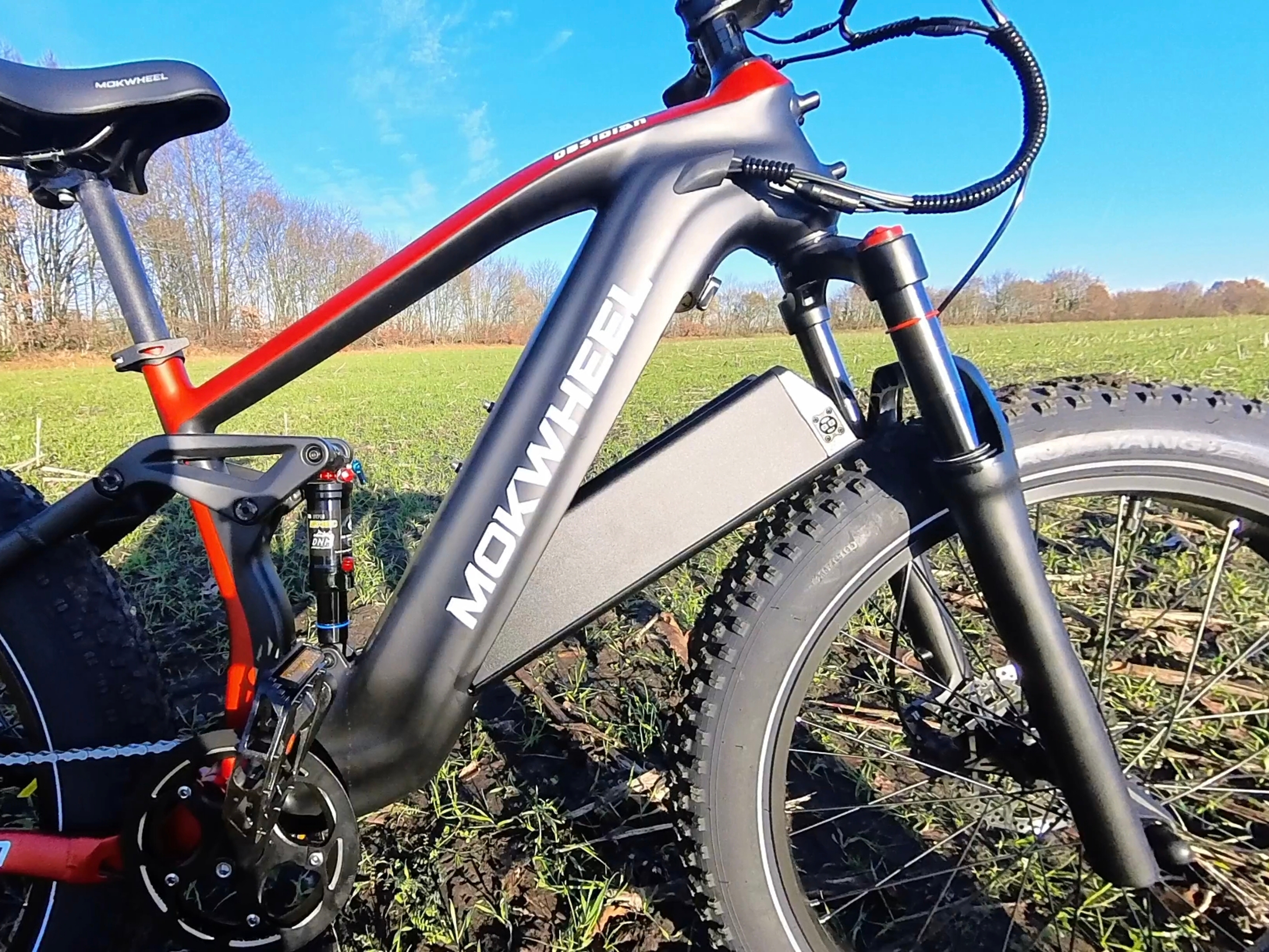 Der Akku kann zum Laden ganz einfach entnommen werden | Quelle: ebiketester24.de